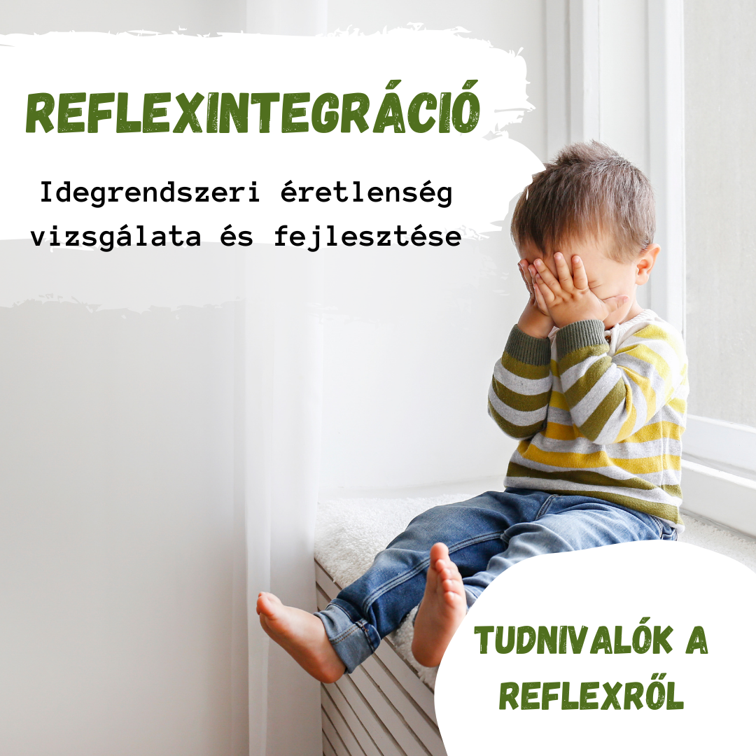 Reflexintegráció